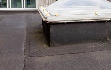 disadvantages of Thorney Island flat roofs