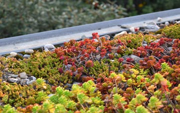 the cost of Thorney Island green roof installation