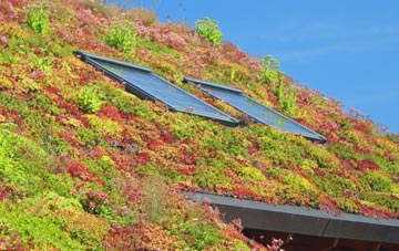 Thorney Island living roof systems