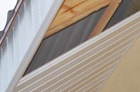 rated Thorney Island soffit repair companies